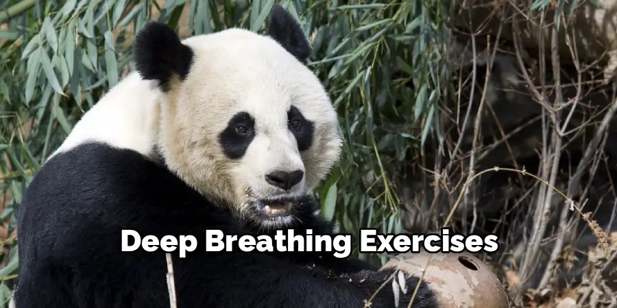 Deep Breathing Exercises