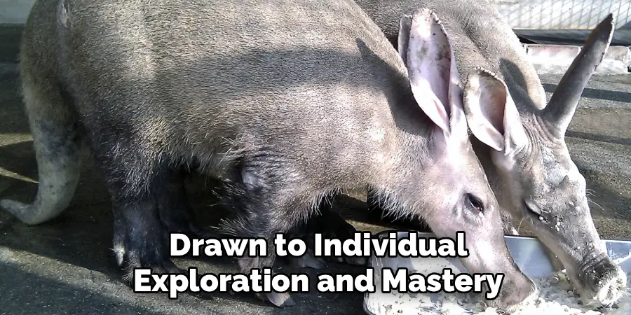 Drawn to Individual
Exploration and Mastery