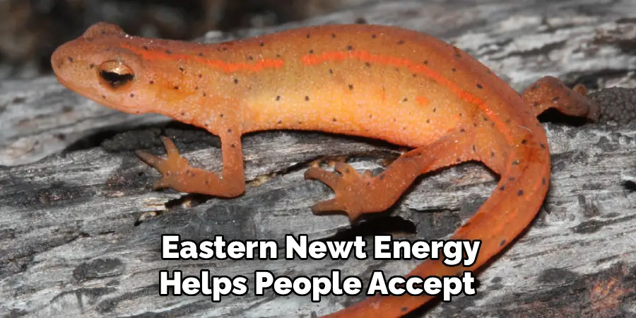 Eastern Newt Energy
 Helps People Accept