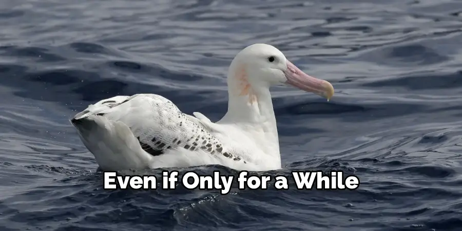 Even if Only for a While