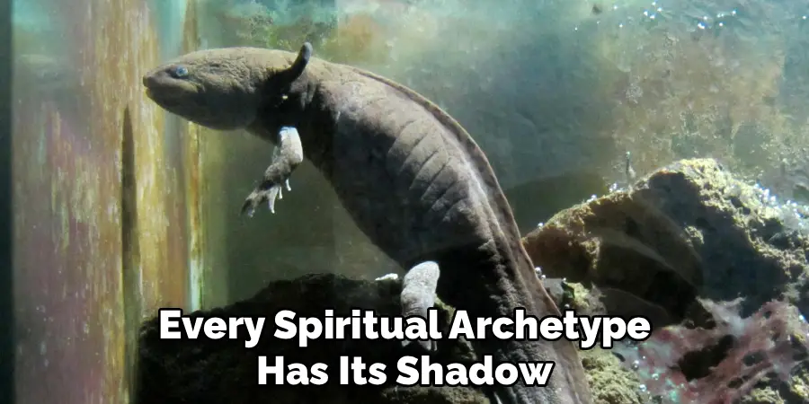Every Spiritual Archetype
Has Its Shadow