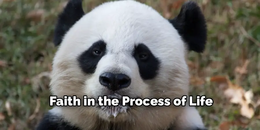 Faith in the Process of Life