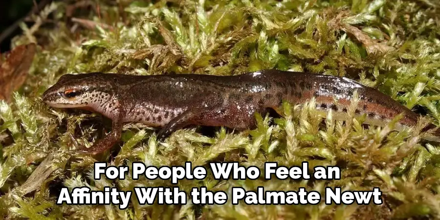 For People Who Feel an 
Affinity With the Palmate Newt