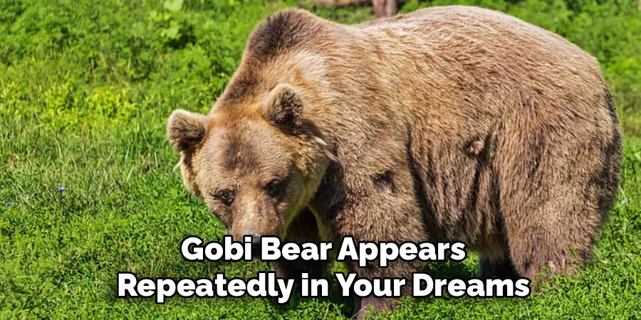 Gobi Bear Appears Repeatedly in Your Dreams