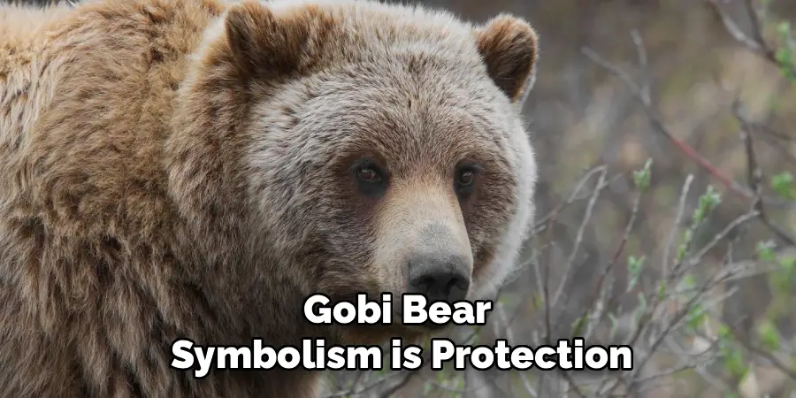 Gobi Bear Symbolism is Protection