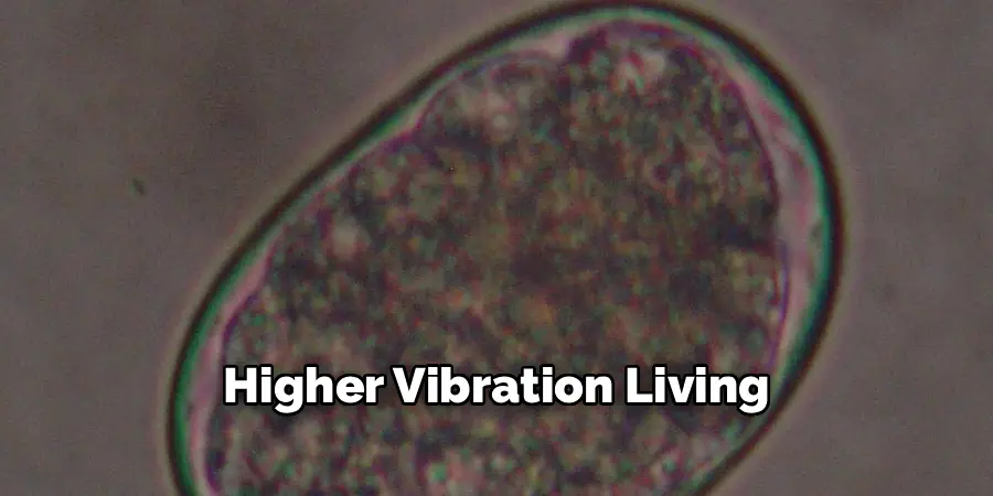 Higher Vibration Living
