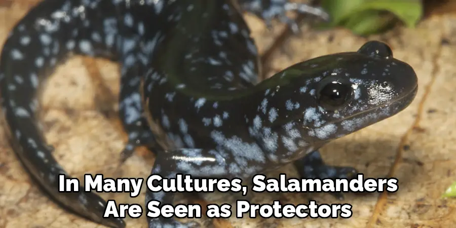 In Many Cultures, Salamanders
Are Seen as Protectors