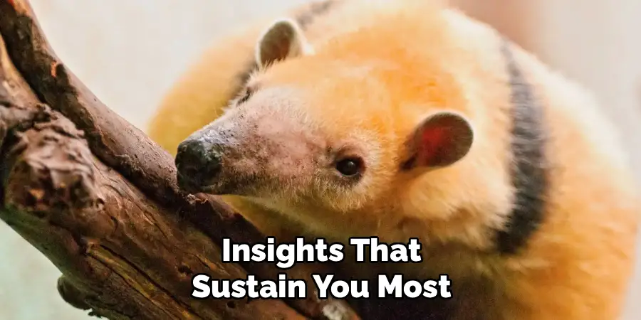Insights That
Sustain You Most
