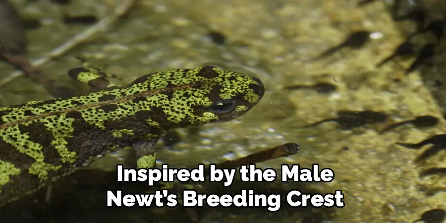 Inspired by the Male 
Newt’s Breeding Crest