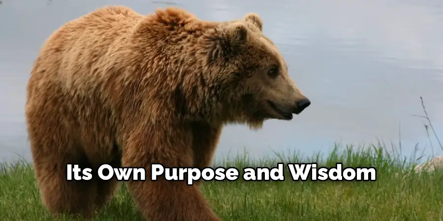 Its Own Purpose and Wisdom