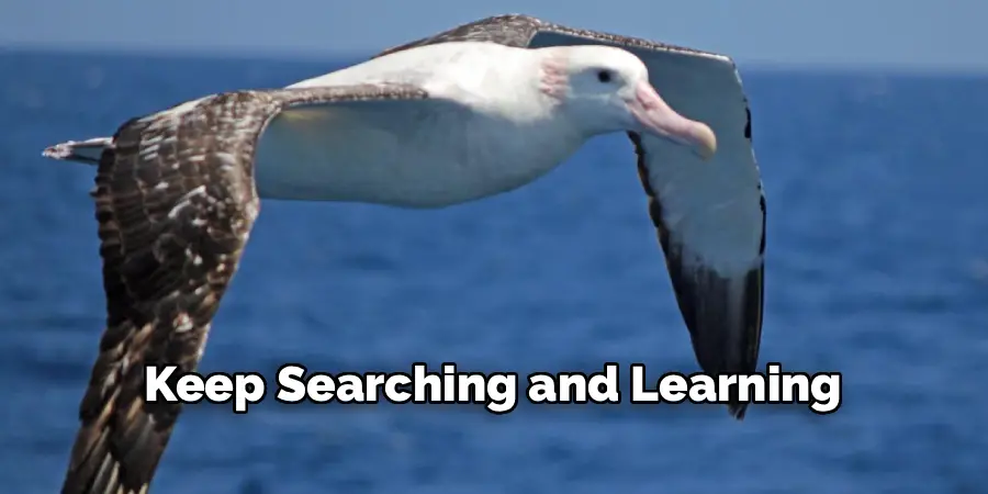 Keep Searching and Learning