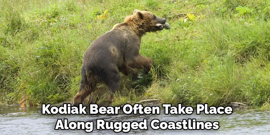 Kodiak Bear Often Take Place
Along Rugged Coastlines