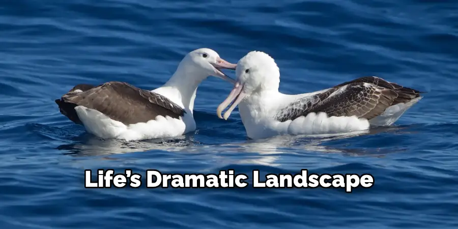Life’s Dramatic Landscape