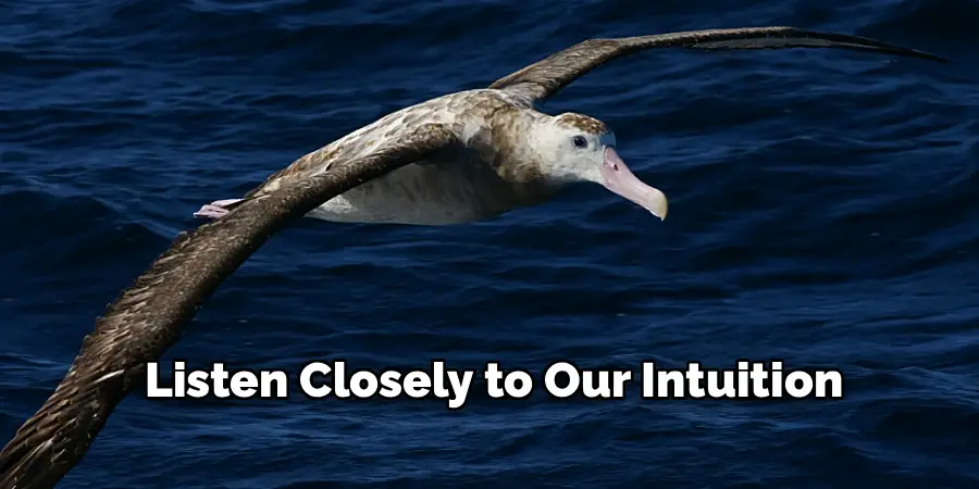 Listen Closely to Our Intuition