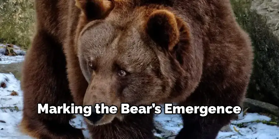 Marking the Bear’s Emergence