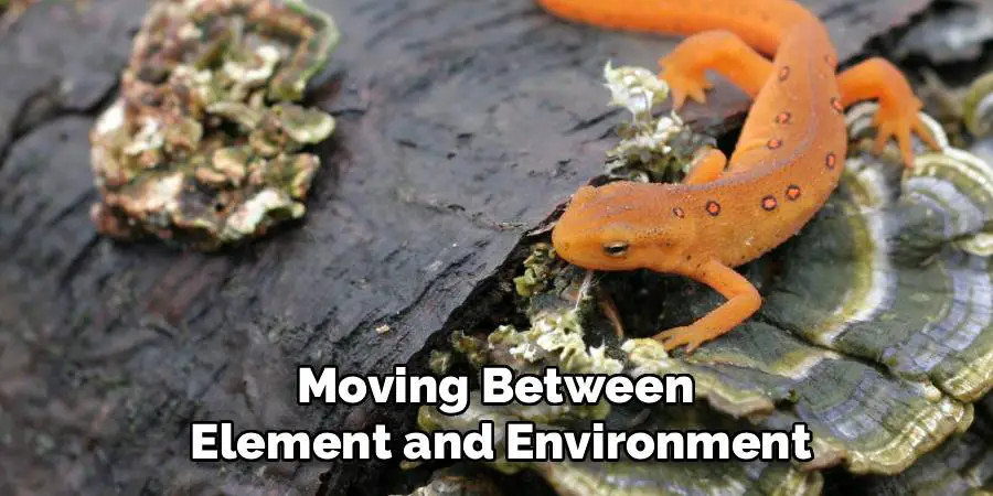 Moving Between 
Element and Environment