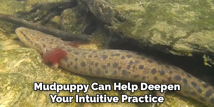 Mudpuppy Can Help Deepen
Your Intuitive Practice