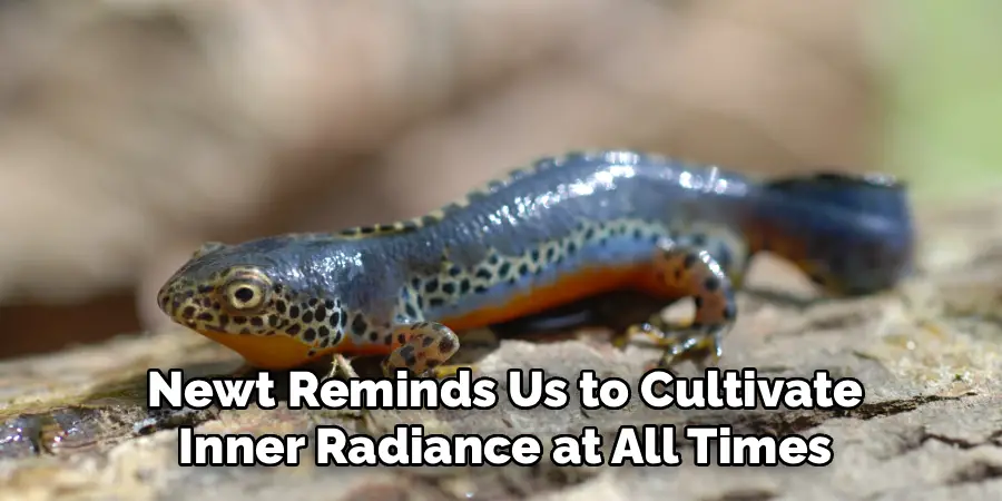  Newt Reminds Us to Cultivate
 Inner Radiance at All Times