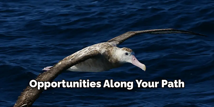Opportunities Along Your Path