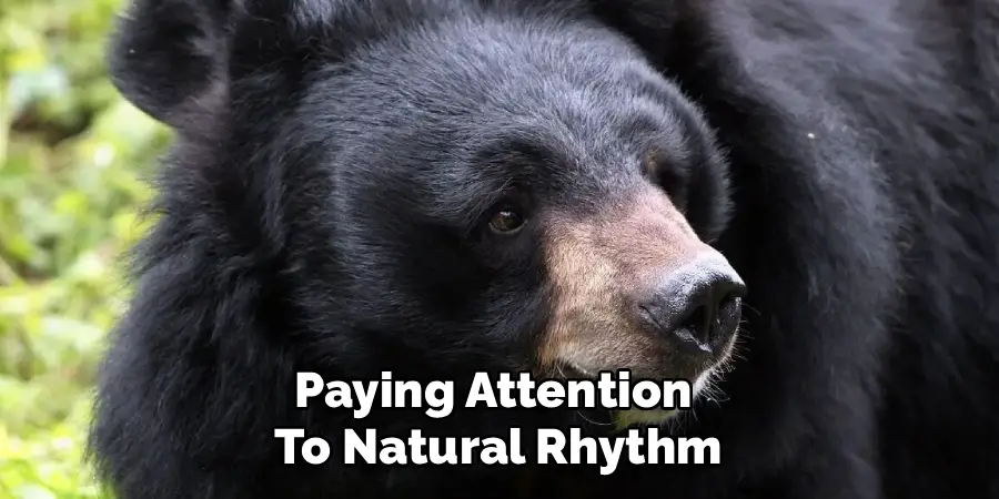 Paying Attention
To Natural Rhythm