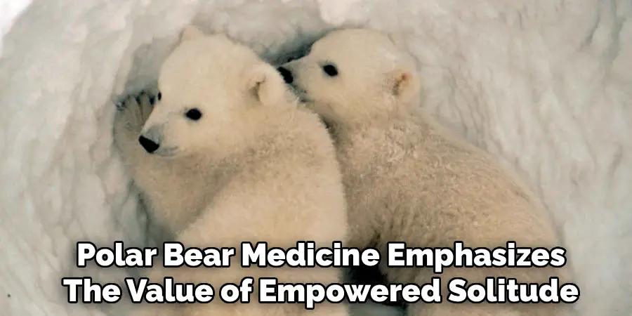 Polar Bear Medicine Emphasizes
The Value of Empowered Solitude