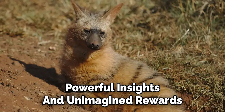 Powerful Insights
And Unimagined Rewards
