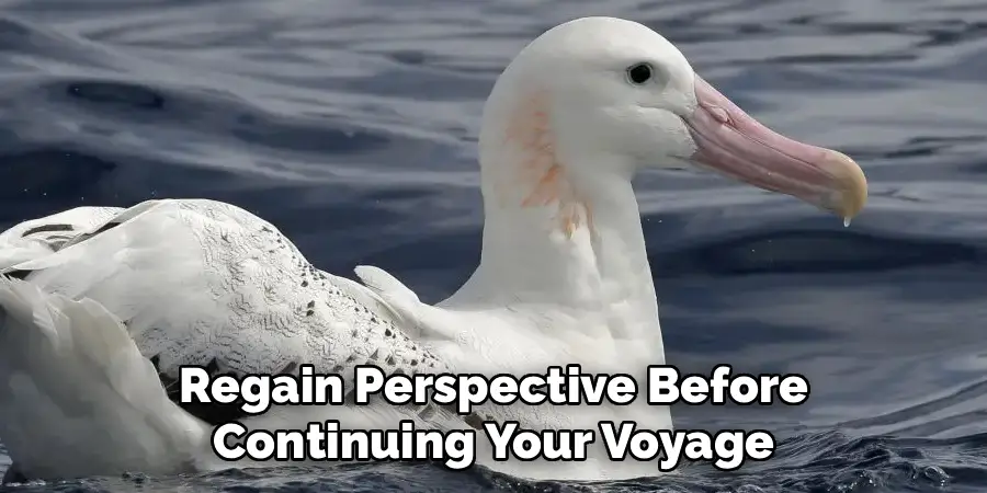 Regain Perspective Before
Continuing Your Voyage