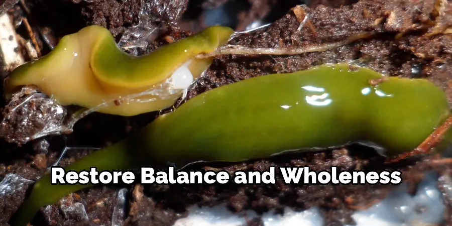 Restore Balance and Wholeness