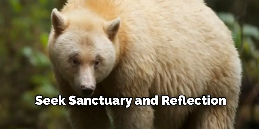 Seek Sanctuary and Reflection