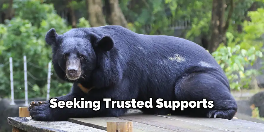 Seeking Trusted Supports