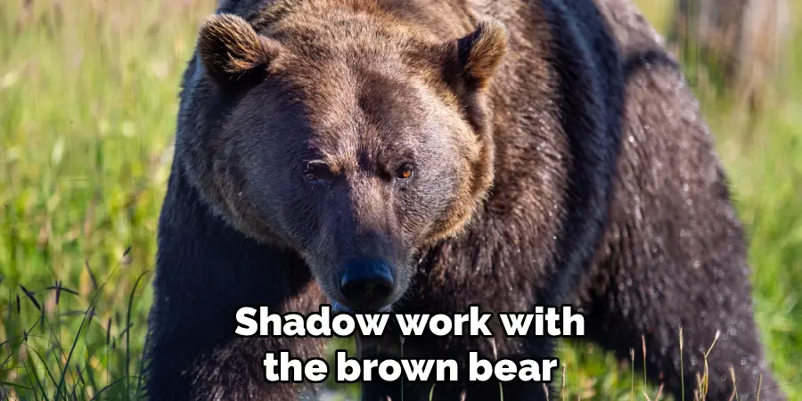 Shadow work with
the brown bear
