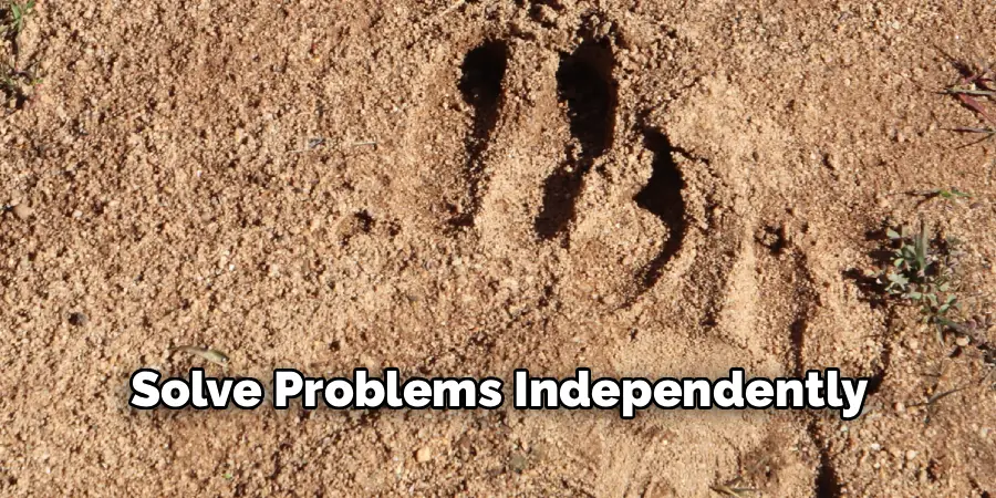 Solve Problems Independently