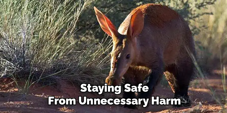 Staying Safe
From Unnecessary Harm