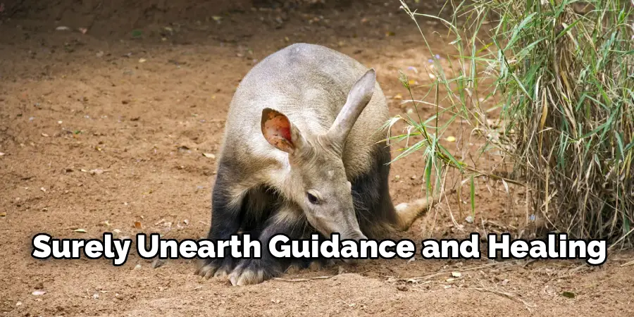 Surely Unearth Guidance and Healing