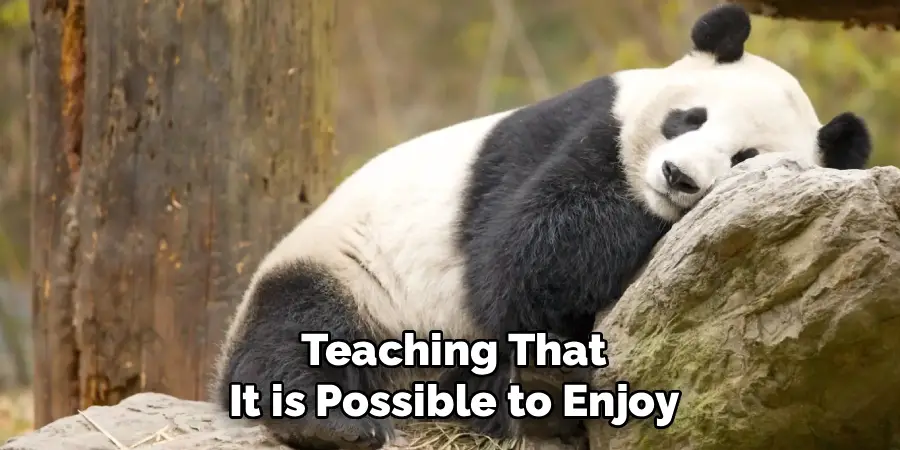 Teaching That
It is Possible to Enjoy