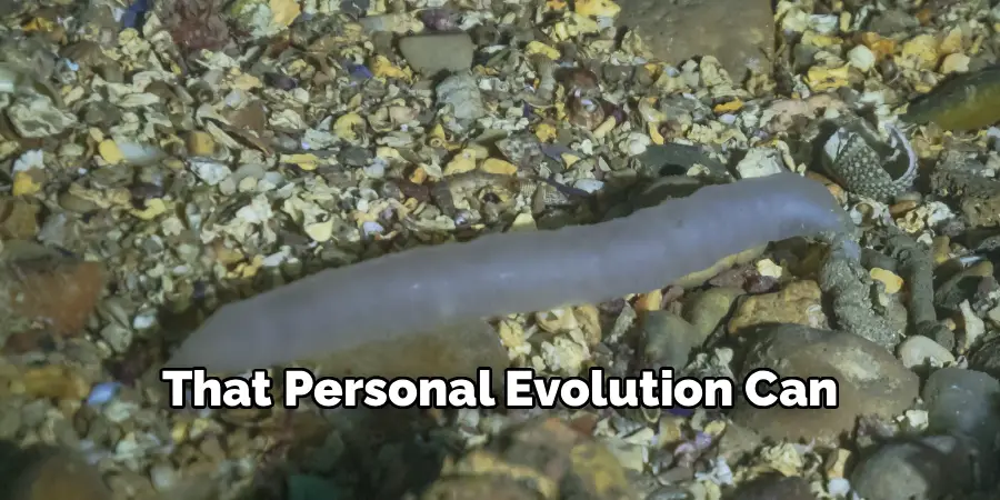 That Personal Evolution Can