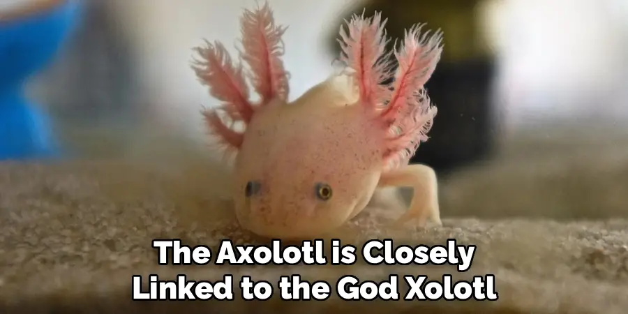 The Axolotl is Closely
Linked to the God Xolotl