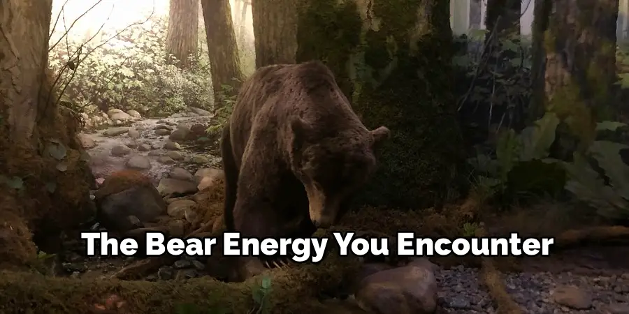 The Bear Energy You Encounter