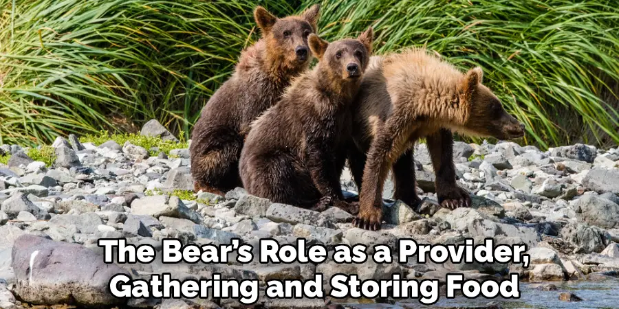 The Bear’s Role as a Provider,
Gathering and Storing Food
