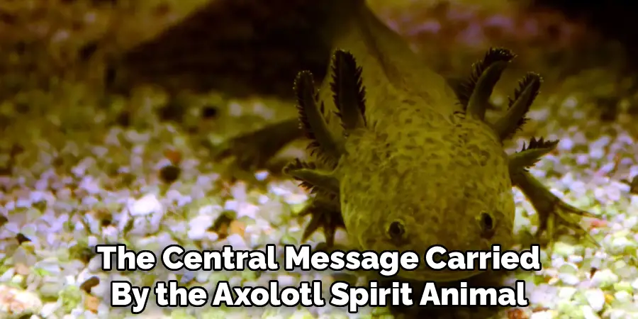 The Central Message Carried
By the Axolotl Spirit Animal