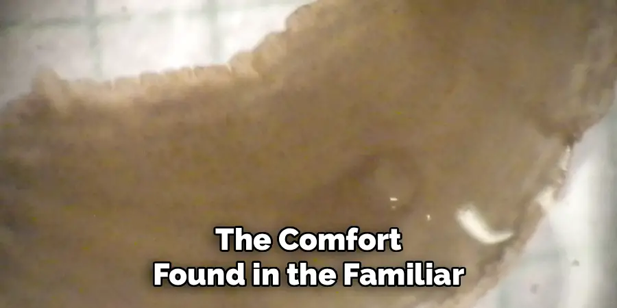 The Comfort
Found in the Familiar