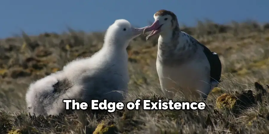 The edge of existence