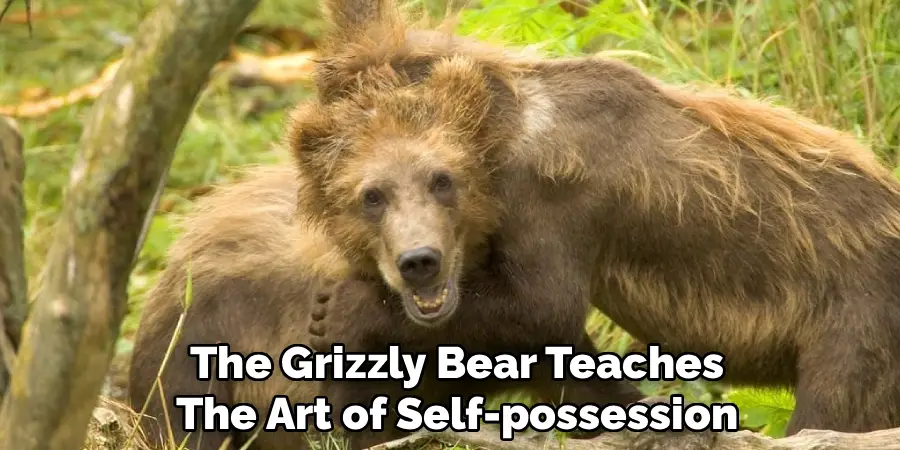 The Grizzly Bear Teaches
The Art of Self-possession