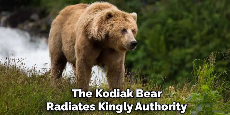 The Kodiak Bear
Radiates Kingly Authority