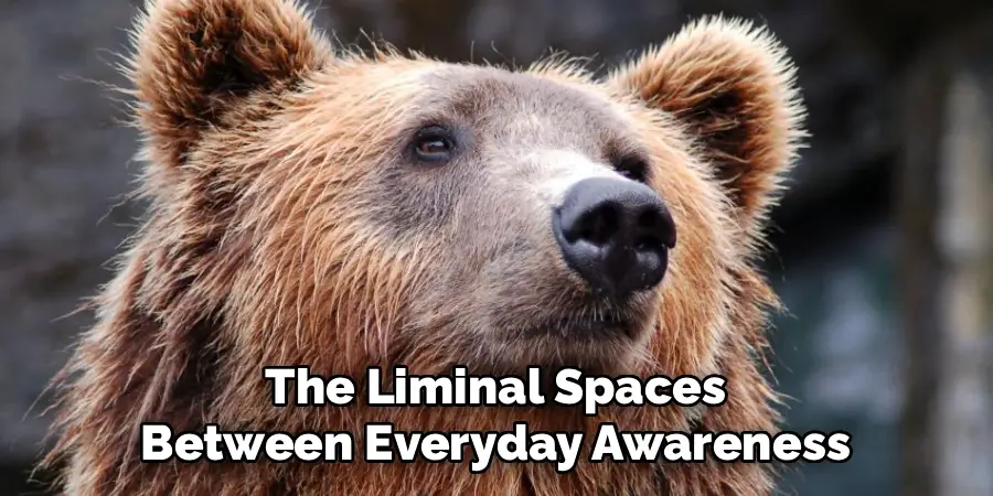 The Liminal Spaces
Between Everyday Awareness