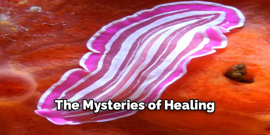 The Mysteries of Healing