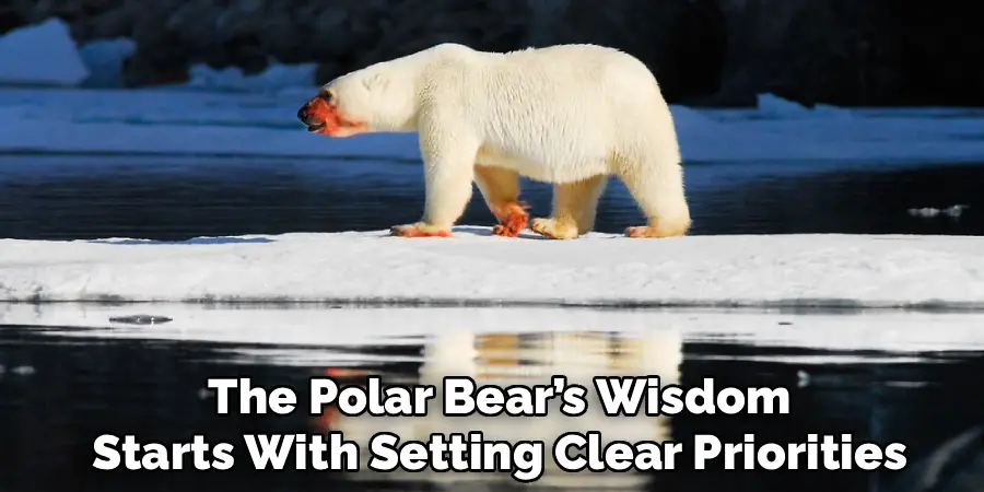 The Polar Bear’s Wisdom
Starts With Setting Clear Priorities