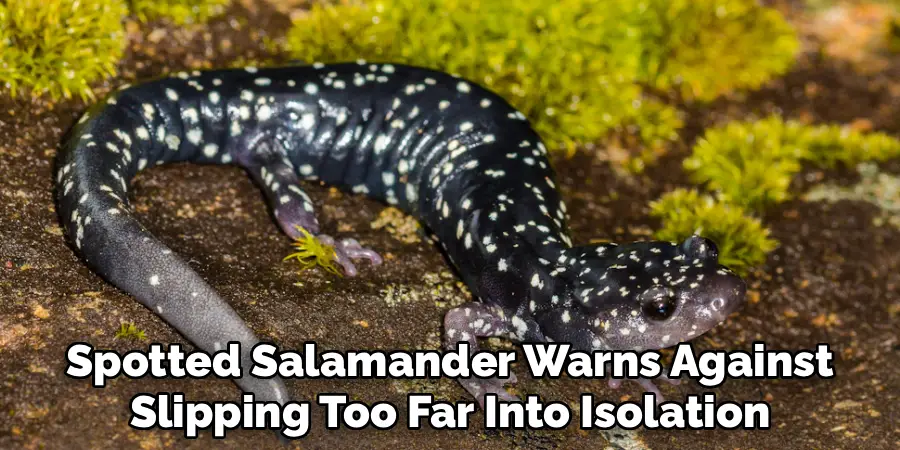 The Spotted Salamander Warns Against
Slipping Too Far Into Isolation