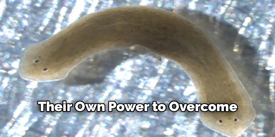 Their Own Power to Overcome