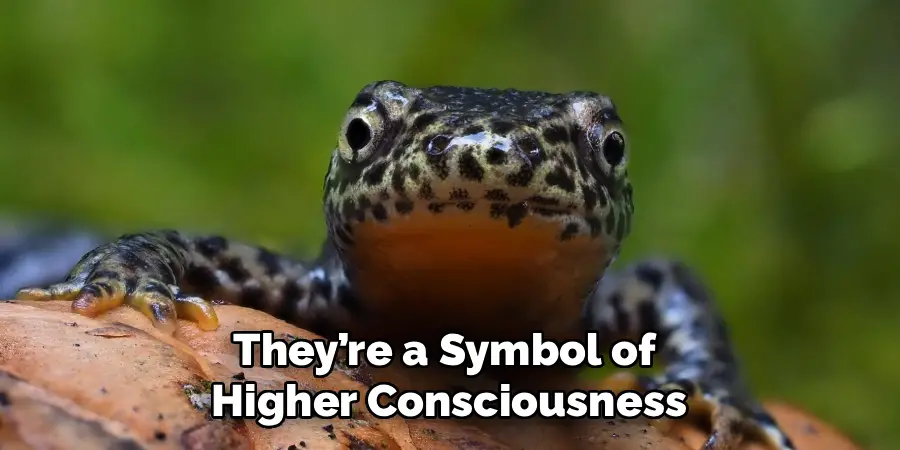 They’re a Symbol of 
Higher Consciousness